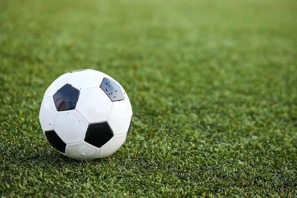 Futbol topu taze yeşil çimlerde