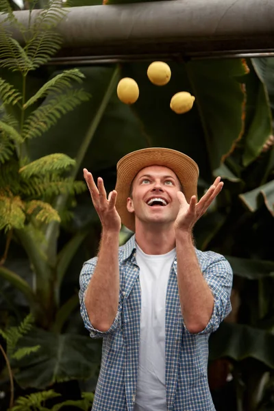 Hombre alegre en sombrero divertirse con limones en el jardín —  Fotos de Stock