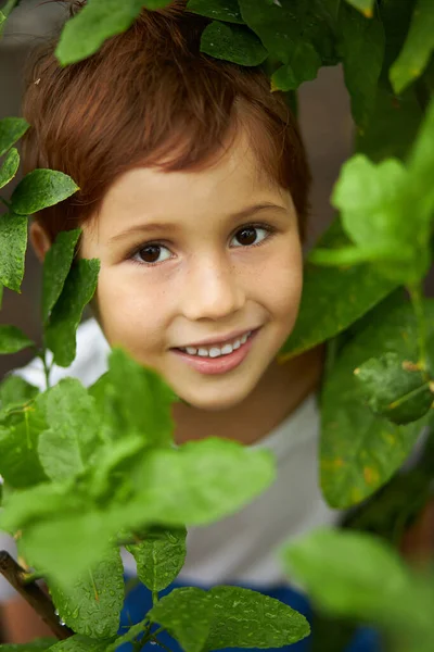 Yeşil bitkilerin etrafındaki kızıl saçlı çocuğun yakın plan portresi — Stok fotoğraf