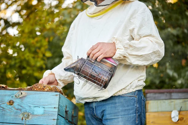 Diligente hombre adulto apicultor trabajo con abeja fumador en su colmenar en abeja granja —  Fotos de Stock