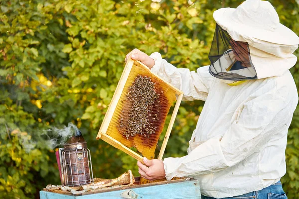 制服に身を包んだ自信のある養蜂家 — ストック写真