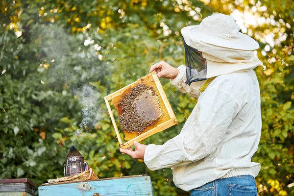 Jistý včelař na včelíně v uniformě, ochranný oblek — Stock fotografie