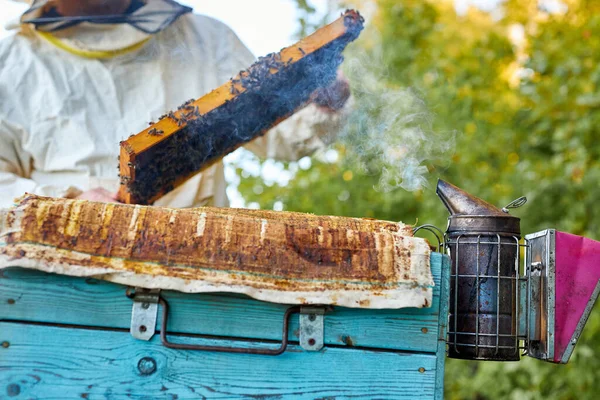 Granjero caucásico cuidando sus colmenas de abejas con fumador de abejas en su granja privada con cajas de abejas caseras —  Fotos de Stock