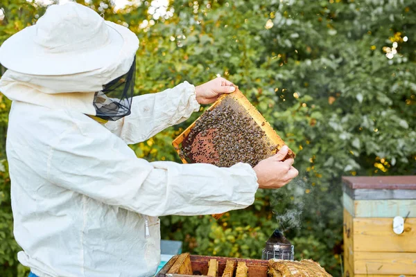 Pewny siebie pszczelarz na pasiece w mundurze, kombinezon ochronny — Zdjęcie stockowe