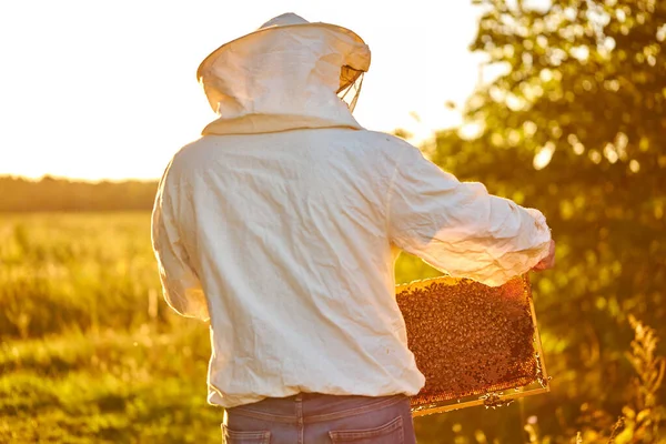 Retrato del hombre adulto apicultor sosteniendo un panal lleno de abejas —  Fotos de Stock