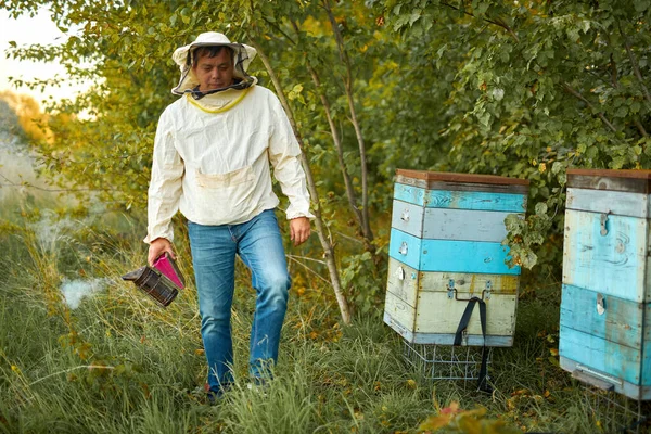 Apicultor hombre que trabaja en colmenar, utilizando abeja fumador —  Fotos de Stock