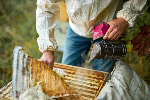 養蜂家は養蜂家の道具を使って — ストック写真