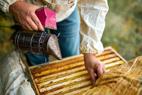 Старанний дорослий чоловік пасічник працює з курцем бджіл у своїй пасіці на фермі бджіл — стокове фото