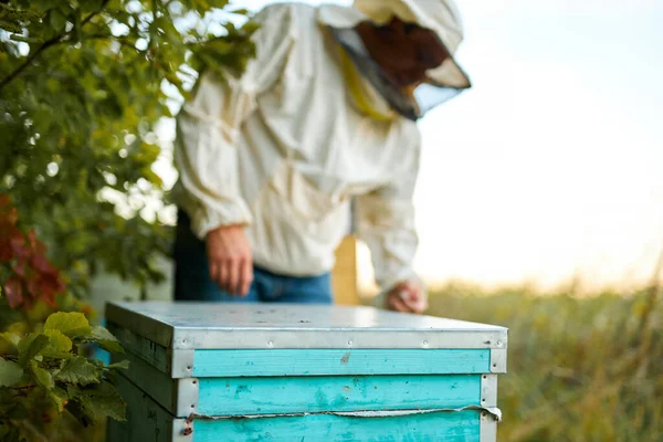 Foto de cerca de la calma somnolienta apiary —  Fotos de Stock