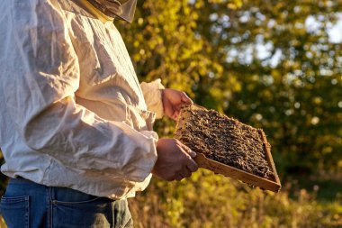 Beyaz arı üstadı koruyucu elbise ve maske takıyor.