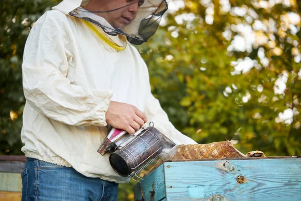 Apicultor caucásico cuida de las abejas, comprueba honey.beekeeper explorar panal —  Fotos de Stock