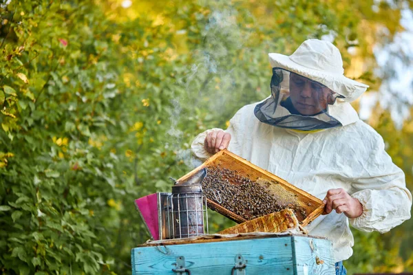 Granjero caucásico cuidando sus colmenas de abejas con fumador de abejas en su granja privada con cajas de abejas caseras —  Fotos de Stock