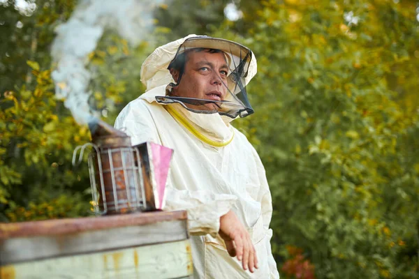 Apicultor hombre que trabaja en colmenar, utilizando abeja fumador —  Fotos de Stock
