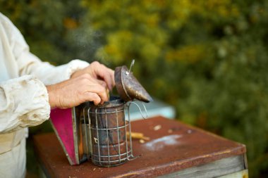 Arı kovanında çalışan erkek arıcı, arıcı kullanıyor.