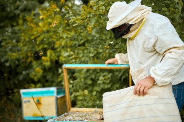 Genç beyaz arı yetiştiricisi kovanın çerçevesini değiştiriyor.