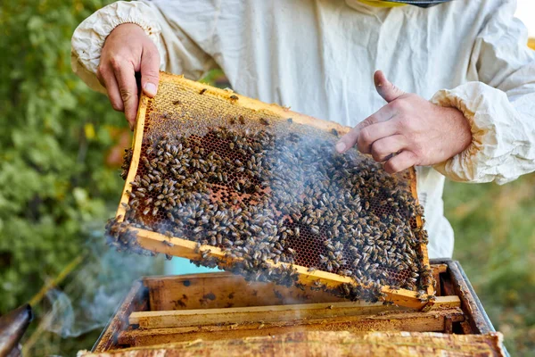 Pewny siebie pszczelarz na pasiece w mundurze, kombinezon ochronny — Zdjęcie stockowe