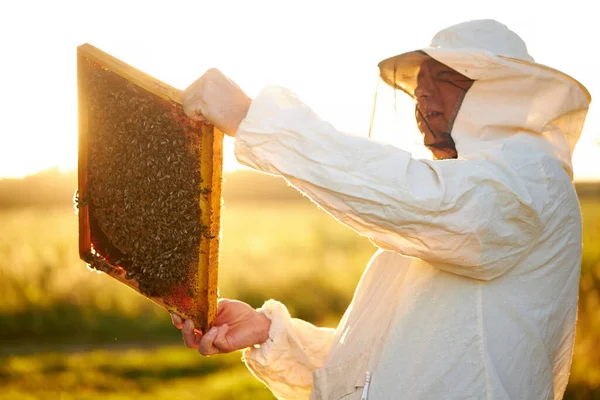 Biały pszczoła mistrz na pasieka nosić ochronny garnitur i maska — Zdjęcie stockowe