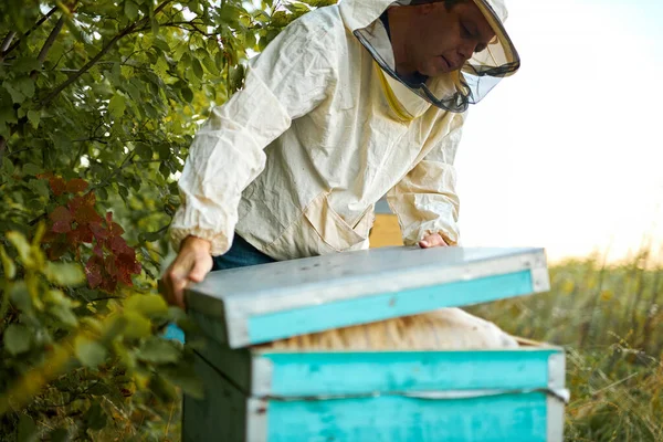 Pszczelarz w ochronnej odzieży roboczej w masce, zamyka pasiekę — Zdjęcie stockowe