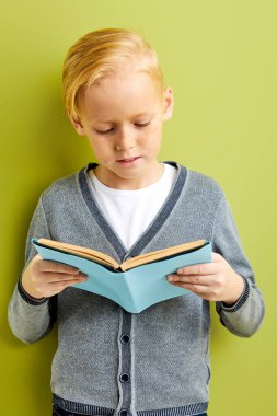 Çekici, çalışkan, yeşil arka plan üzerine kitap okuyan küçük okul çocuğunun portresi.