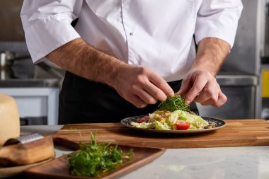 Restoran Mutfağında Profesyonel Aşçı Dekorasyon Tabağı, Yeşillik Ekleme