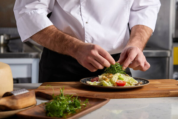 Профессиональный повар-повар Украшение блюдо в ресторане Кухня, добавление зелени