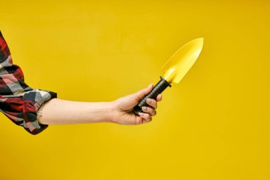 Sarı arka planda küçük kepçe ya da kürek izole