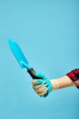 Mavi bahçe malası ellerinde. izole edilmiş mavi arkaplan