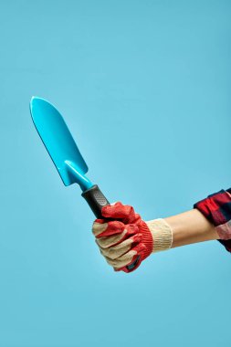 Mavi bahçe malası ellerinde. izole edilmiş mavi arkaplan