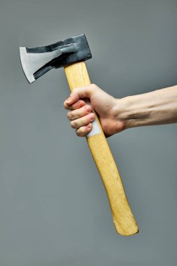 Tahta Balta Gri Arkaplanda İzole Edildi