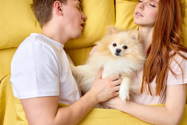 Uykulu genç çift, tükürük köpeğiyle rahat bir yatakta uzanıyorlar ve rahat bir ev ortamının tadını çıkarıyorlar. — Stok fotoğraf