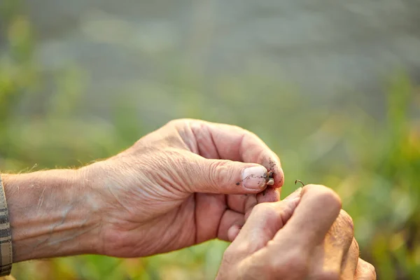 Close-up foto de mãos masculinas colocando verme na vara de pesca, preparando-se para a captura de peixes — Fotografia de Stock