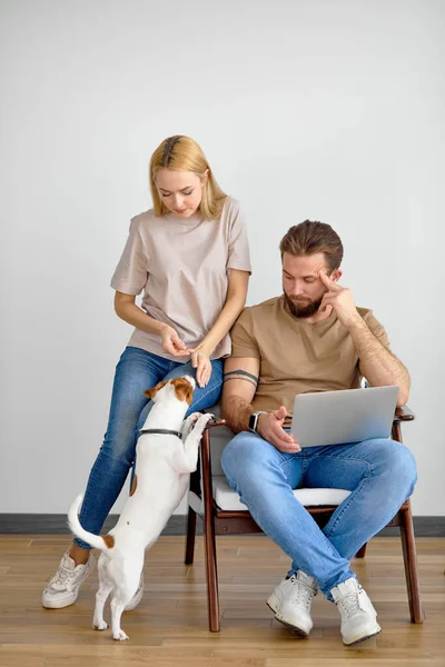 Γυναίκα σύζυγος υποστήριξης, ενώ αυτός εργάζεται σε φορητό υπολογιστή στο σπίτι, κατοικίδιο ζώο σκυλί παίζει — Φωτογραφία Αρχείου