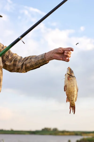 Hobby attività sportive. Pesca piscicoltura allevamento del pesce commercialmente. — Foto Stock