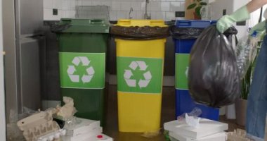 Çevre dostu davranış, kırpılmış bayan daha fazla işlem için ev atıkları sınıflandırıyor.