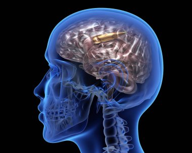 İçinde kurşun olan bir insan kafası. 3B illüstrasyon