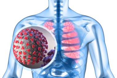 Coronavirus, solunum yollarına saldıran bir patojendir. 3B illüstrasyon