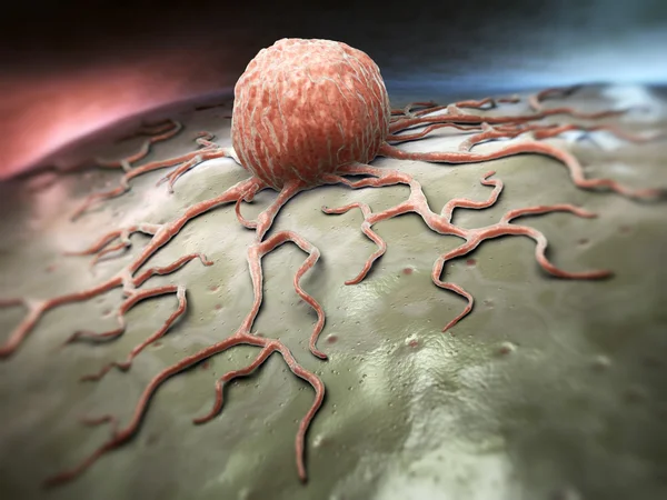 Close-up view of a cancer cell — Stock Photo, Image