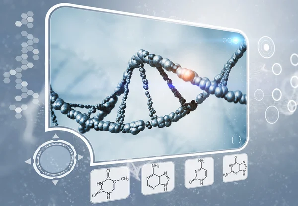 Analisi del DNA — Foto Stock