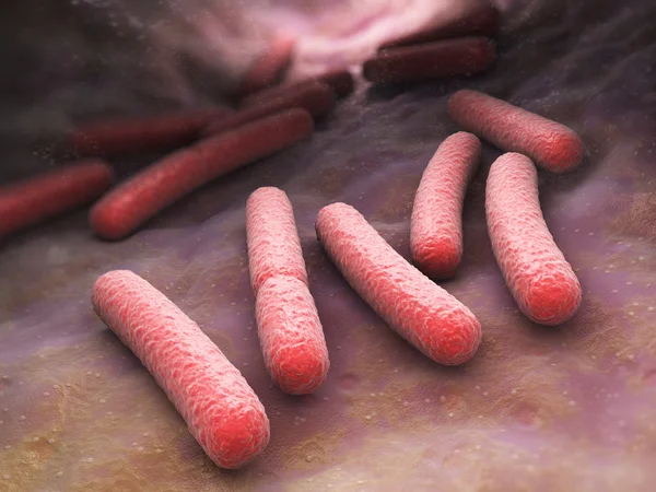 E. coli. Komórek bakterii Escherichia coli — Zdjęcie stockowe