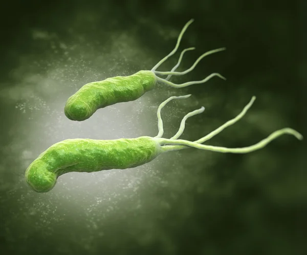 Helicobacter pylori — Stock fotografie