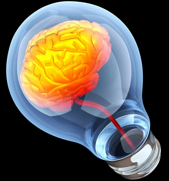 Light bulb with hot brain inside — Stock Photo, Image