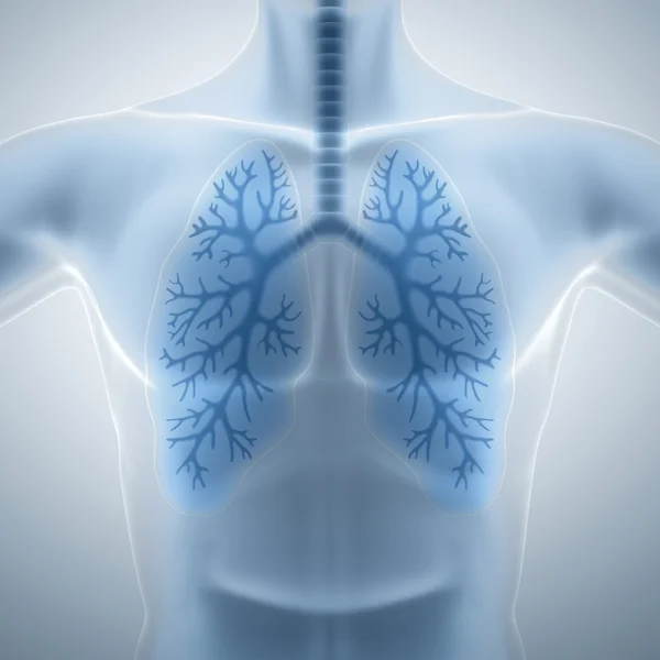 Clean and healthy lungs — Stock Photo, Image