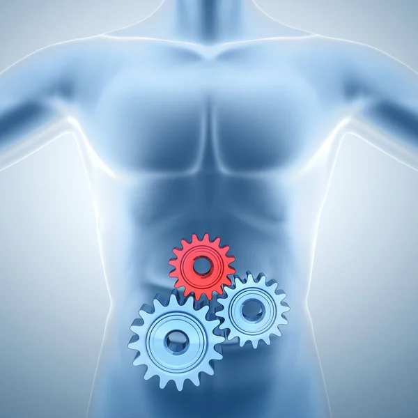 Human torso with gears inside — Stock Photo, Image