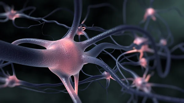 Neuronas — Foto de Stock