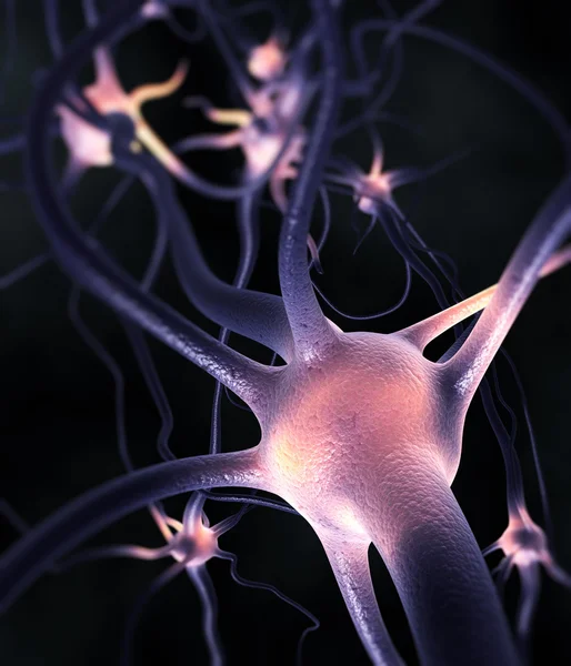 Neurony — Stock fotografie