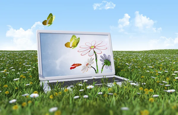 Laptop på fältet grönt gräs — Stockfoto