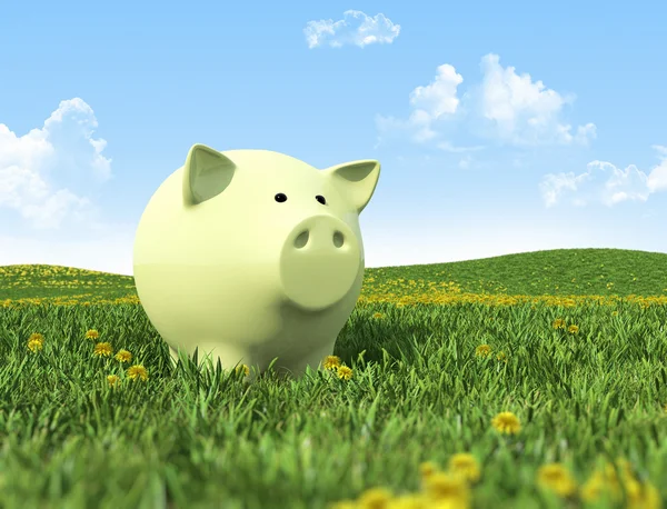 Piggy bank op het groene gras — Stockfoto