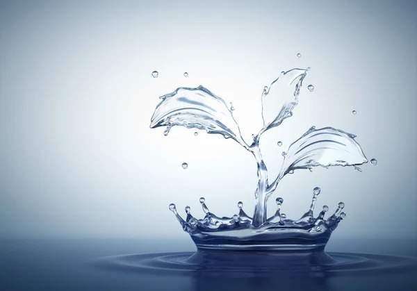 Vattenstänk i form av anläggning — Stockfoto