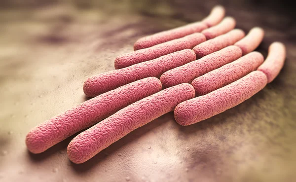 Shigella sonnei bacteria — Stock Photo, Image