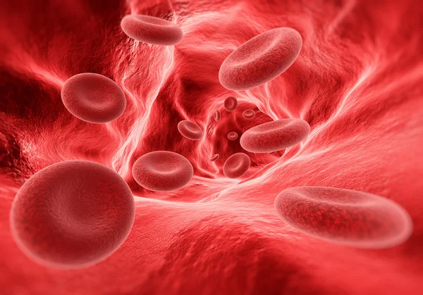 Cellules sanguines dans la veine — Photo